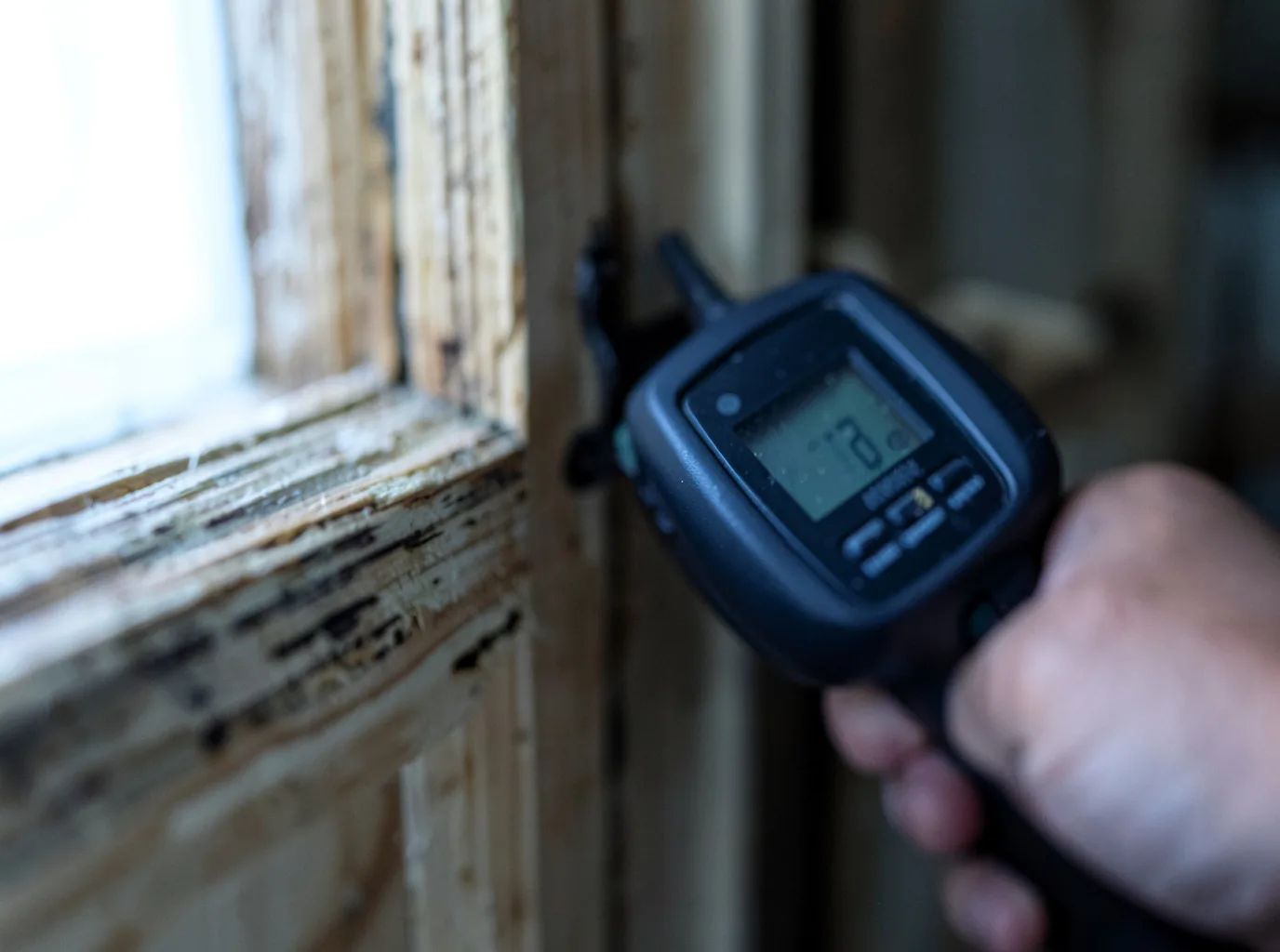 Commercial Water Damage Restoration in Peosta, IA